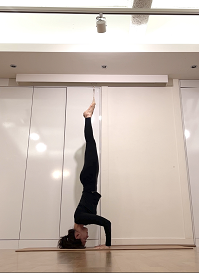 [강남역요가] 삼각 헤드스텐딩(tripod head standing)