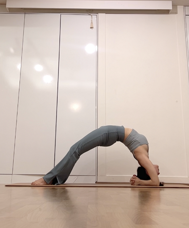forearm wheel pose 접근법 및 주의사항