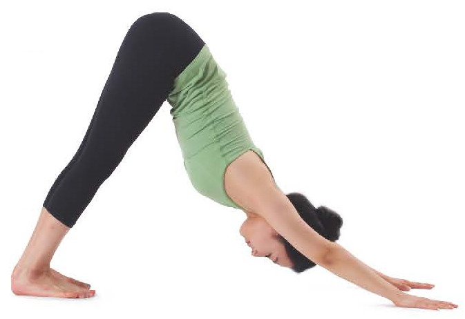 비둘기 자세 가이드  Pigeon Pose : A How-To Guide
