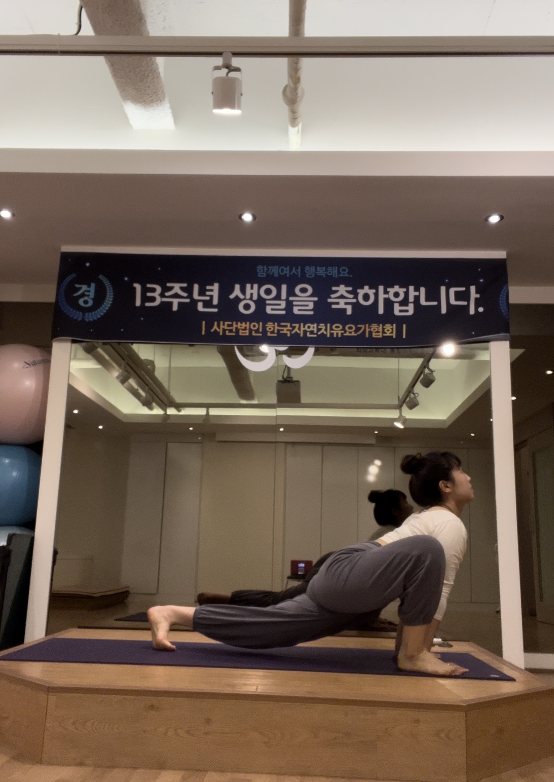 [강남역자연치유요가지도자과정]단단한 하체와 균형감각 기르는 빈야사