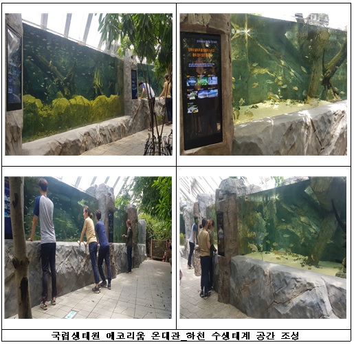 국립생태원 에코리움에서 하천 수생태계를 한눈에